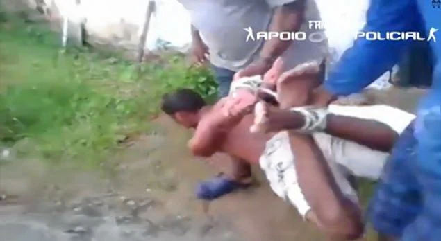 Trộm bị vứt vào ổ kiến ảnh 1